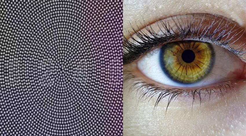 Con esta imagen podrías saber si tienes problemas de visión