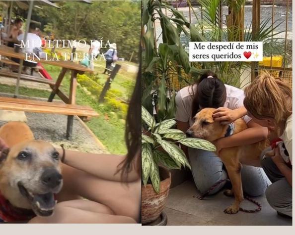“Así fue mi último día en la tierra”: emotivo video de perrito se vuelve viral 
