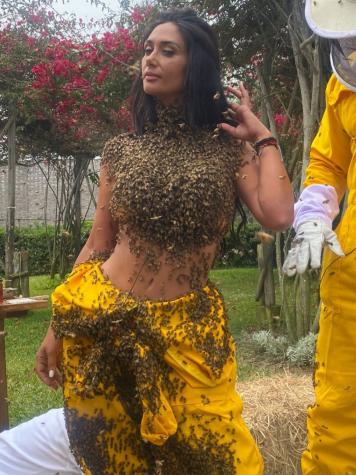 La impresionante prueba a la que se sometió Pamela Díaz: ¡llenó su cuerpo de abejas!