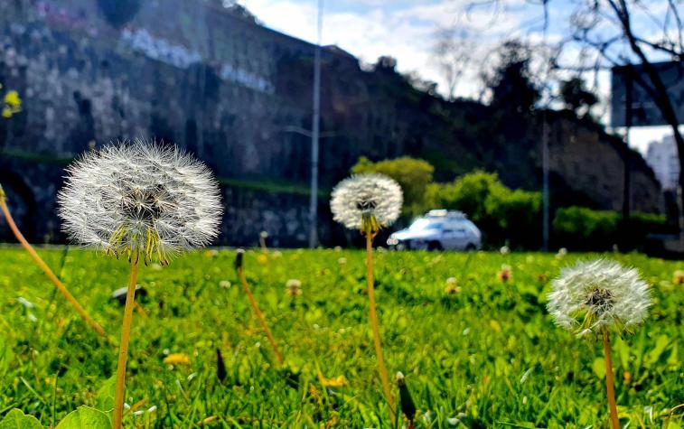 Se viene el verano: ¿Cuándo termina la primavera en Chile?