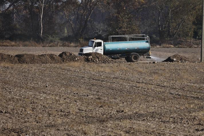 Las catastróficas predicciones de Nostradamus para 2024