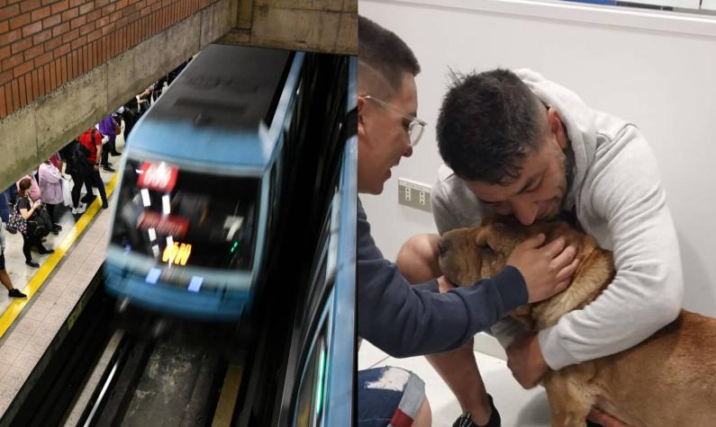 Metro suspende Línea 2 para salvar un perrito en las vías: Sus dueños la estaban buscando