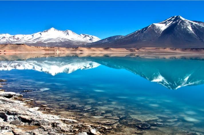 Avistan a animal que se creía extinto en el norte del país