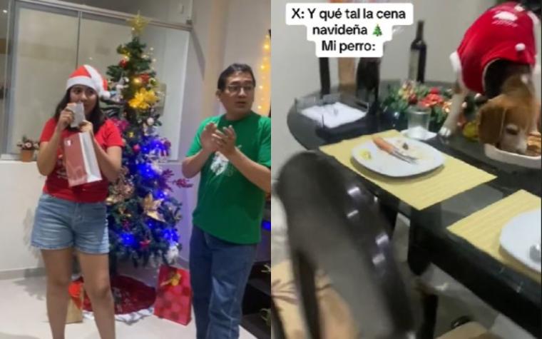 Perrito arrasó con cena navideña mientras sus dueños intercambiaban regalos