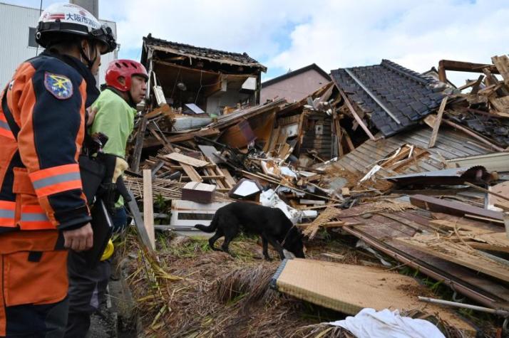 ¡Increíble! Perrita rescató a anciana atrapada en escombros tras terremotos de Japón