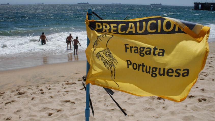 Me "atacó" una fragata portuguesa: ¿Qué medidas debo tomar?