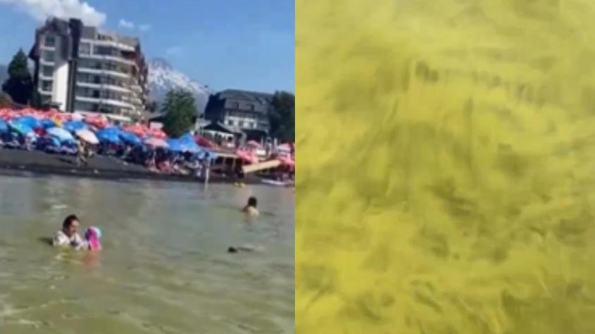 Agua verde en Lago Villarrica: conoce por qué ocurre este fenómeno