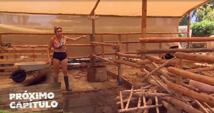  La reacción de Angélica Sepúlveda tras encontrón con Fran Undurraga