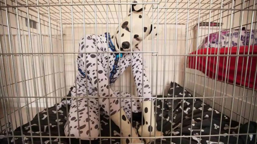 Conoce a Tom Peters, el primer hombre que declaró sentirse perro