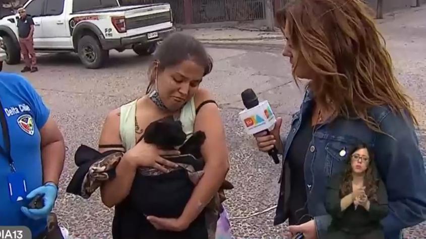 "Mis animales se murieron": joven solicitó ayuda veterinaria para su gatita y mascotas afectadas por incendios