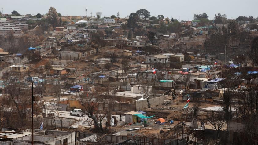 Reportan caso de sarna en sector afectado por los incendios de Valparaíso