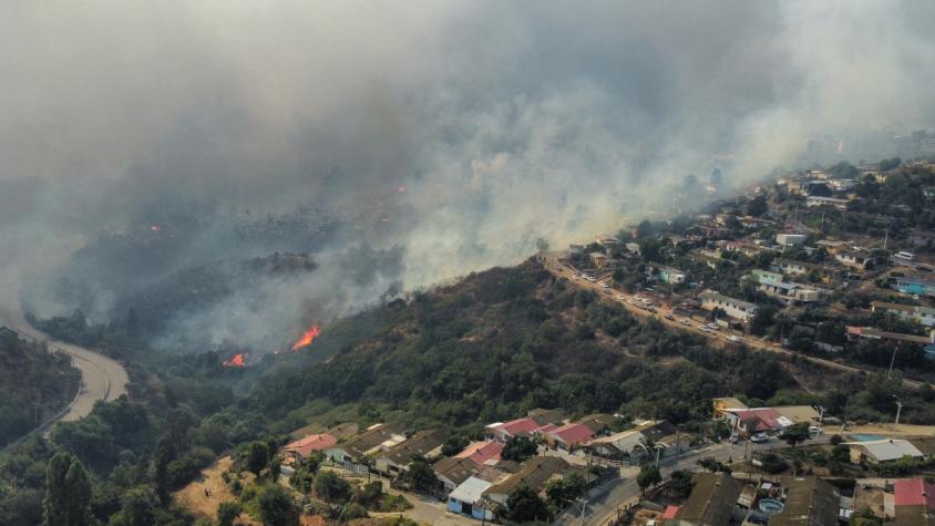 "Chile, un solo corazón", la cruzada solidaria por la víctimas de los incendios