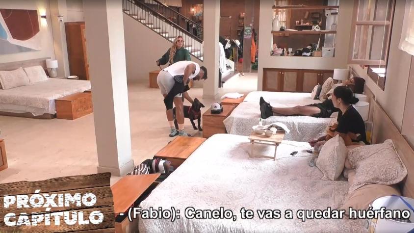 Fabio y Dani Castro se dirán todas sus verdades: "Tu único apoyo es el perro" y "Eres el verdadero freaky fans"