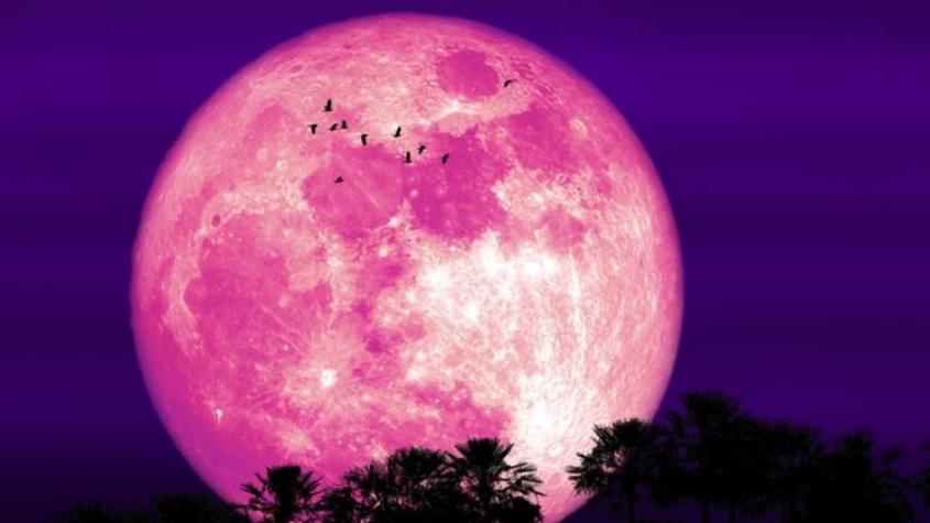 Luna llena de junio: ¿Cuándo y a qué hora se podrá ver? 