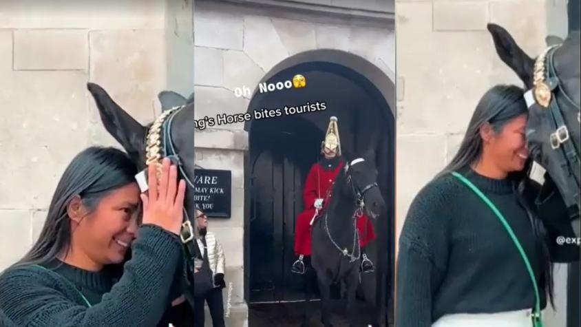 Caballos de Buckingham se hicieron viral por sus encantadoras interacciones con los turistas
