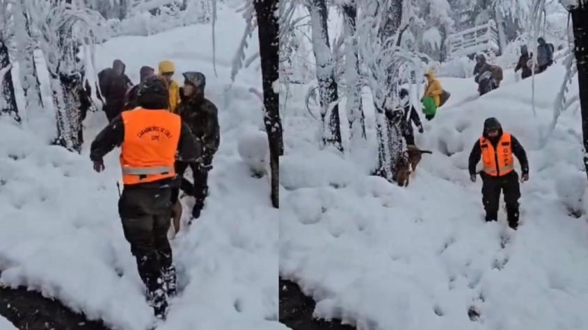 Carabineros logra evacuar con éxito a personas y animales de San Gabriel en el Cajón del Maipo 