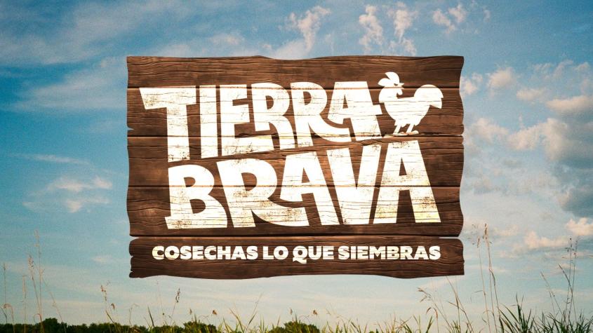 A casi dos meses de su final: ¿En qué se encuentran los participantes de Tierra Brava?