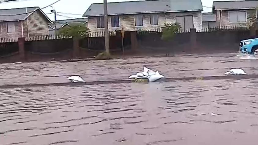 Agua lluvia amenaza con entrar en las casas de San Bernardo tras inundación de calles