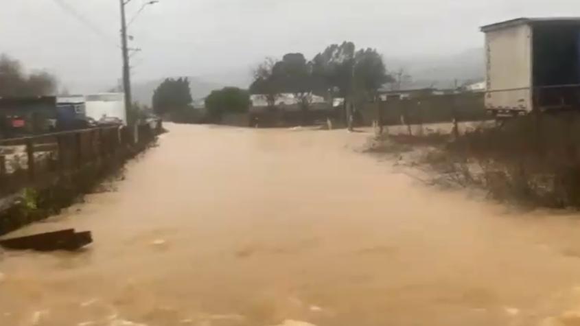 Vecinos de Carampangue evacuan tras el desborde del río Pichilo: el agua en las calles llega hasta las rodillas