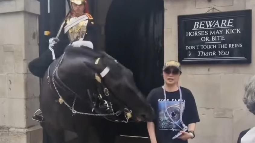Caballo de la Guardia Real británica muerde a una turista que quería tomarse una foto