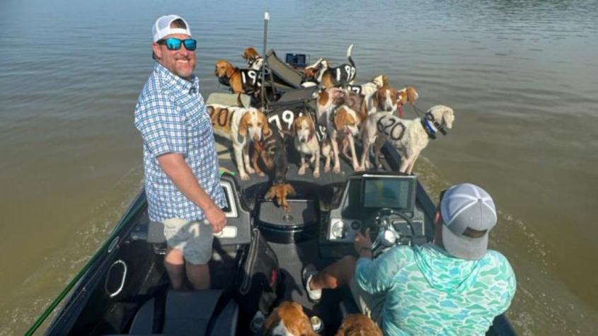 Heroico rescate: Pescadores salvan a 38 perros de ahogarse en el río Mississippi 