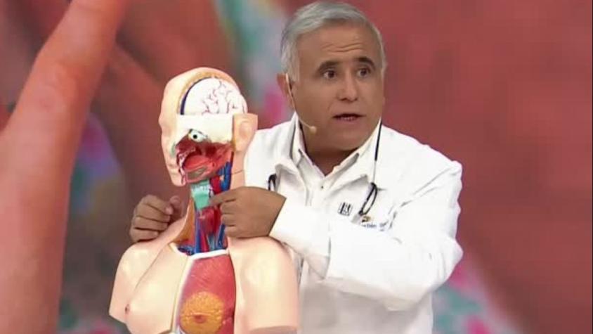 Doctor Ugarte explica cómo las populares compresas calientes pueden aliviar la congestión nasal durante el invierno