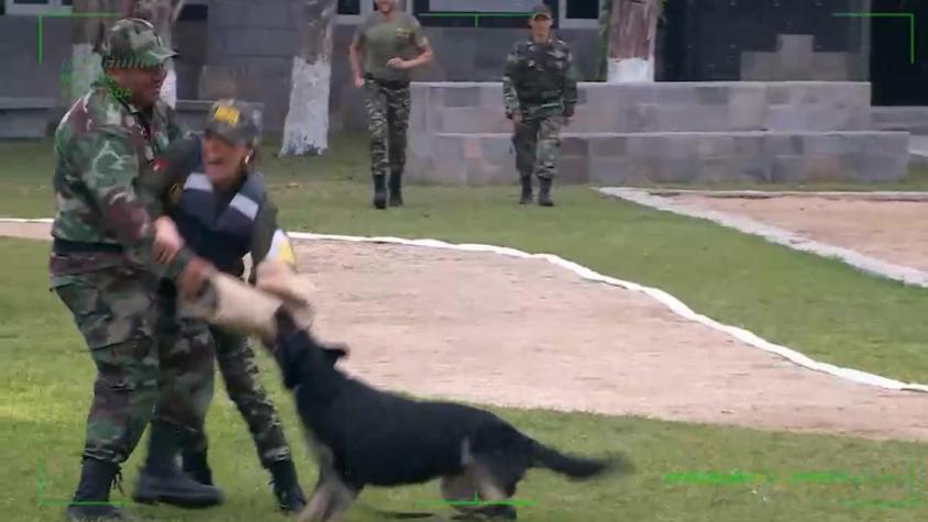 Un nuevo adelanto de Palabra de Honor muestra los duros desafíos, las primeras discusiones y los primeros besos entre los reclutas