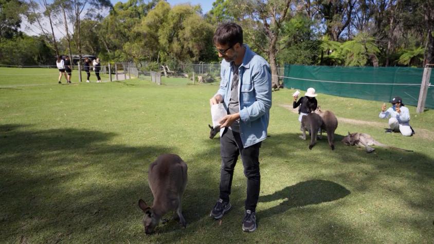 Siempre Hay un Chileno | Temporada 6 | Capítulo 8: Sídney, Australia