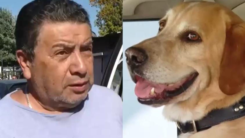 Se escapó su perro, salió a buscarlo y le quitaron el auto en fiscalización: "Se me arrancó"