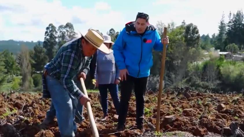 Lugares que Hablan | Temporada 10 | Capítulo 7 | Biobío, chilenos que renacen
