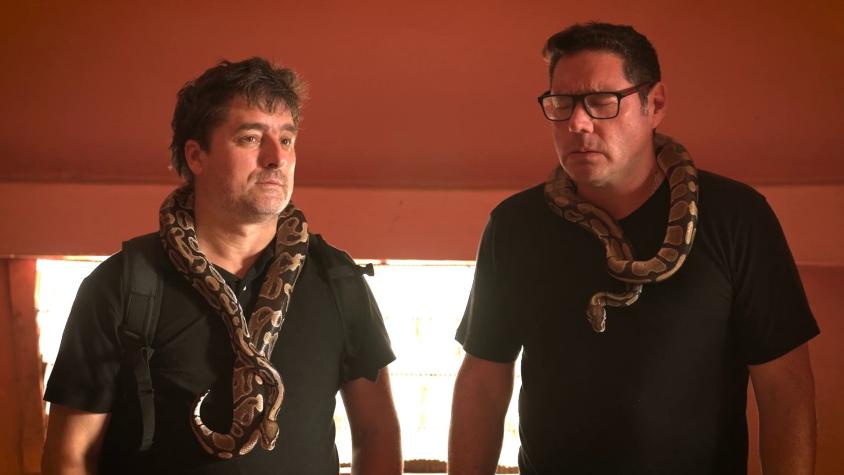 Pancho Saavedra y Jorge Zabaleta vencerán sus miedos al visitar un templo de pitones en "Socios por el mundo"
