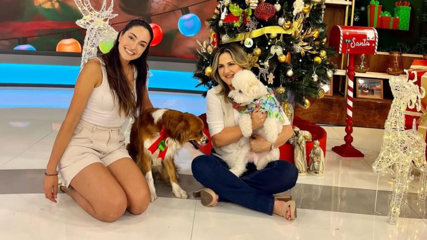 Tu Día / Capítulo del martes 3 de diciembre