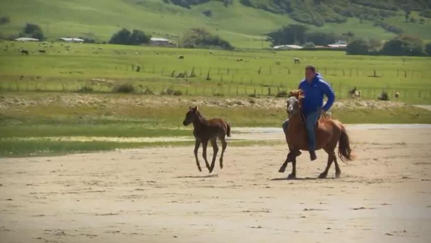 Lugares que Hablan | Temporada 4 | Capítulo 1 | Al descubrimiento de Isla Mocha