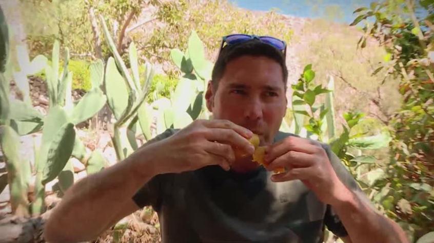 Lugares que Hablan | Temporada 4 | Capítulo 14 | Vendimia en el Oasis de Codpa