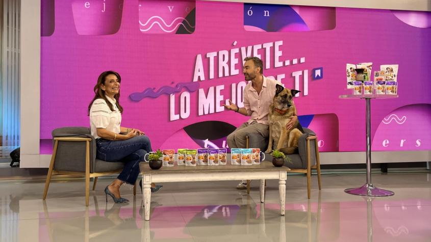 Jordi Castell nos presentó al príncipe de su hogar: Dagoberto