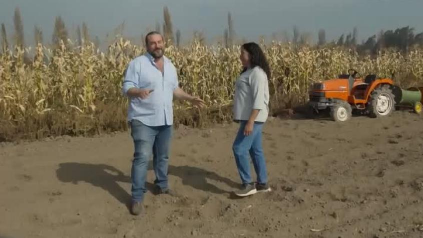 De Cuchara | Capítulo 11 | Valle del Cachapoal 