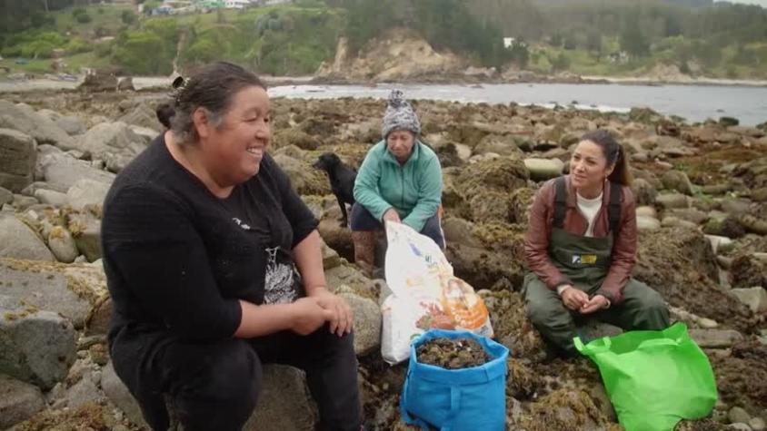 Somos Caleta | Temporada 2 | Capítulo 5 | Caleta Perone