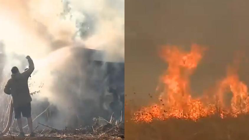 Incendios forestales: Alerta por posible rebrote de fuego en Collipulli