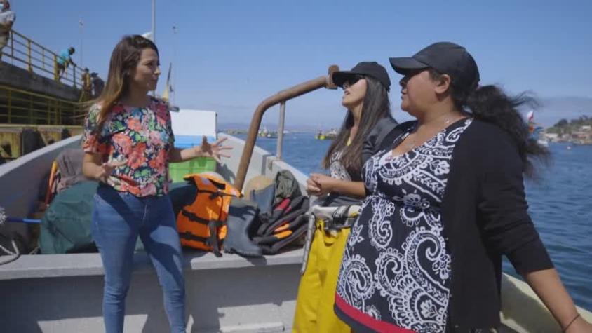 Somos Caleta | Temporada 1 | Capítulo 6 | Caleta Guanaqueros y Tongoy 