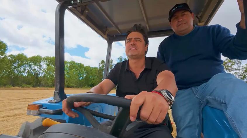 Pancho, Jorge y Pedro se suben al tractor y trabajan enfardando pasto en el campo de Chillán