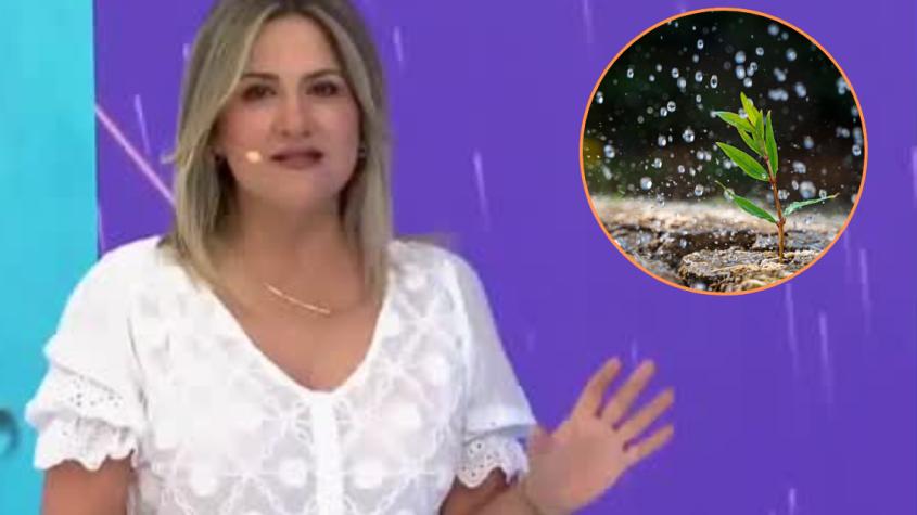 Michelle Adam explica qué es el petricor y por qué nos agrada tanto