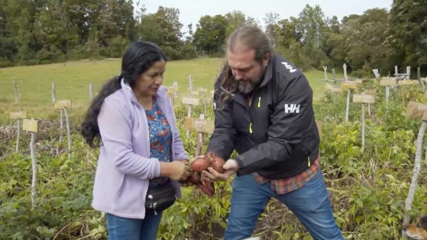 De Cuchara | Capítulo 5 | Chiloé