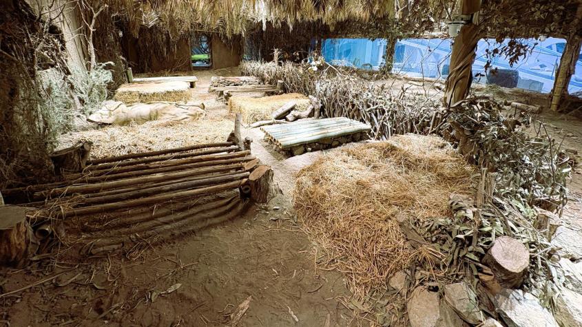 No contarán con artículos de aseo y obtendrán agua de una vertiente: Así será vivir en "El Pasado" de Mundos Opuestos