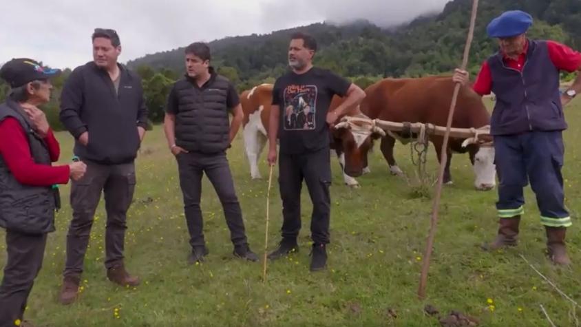 Pancho, Jorge y Pedro se emocionaron con la historia de adopción de una familia