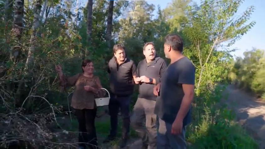 Pancho, Jorge y Pedro se topan con recolectoras de murta y les ayudan en su labor