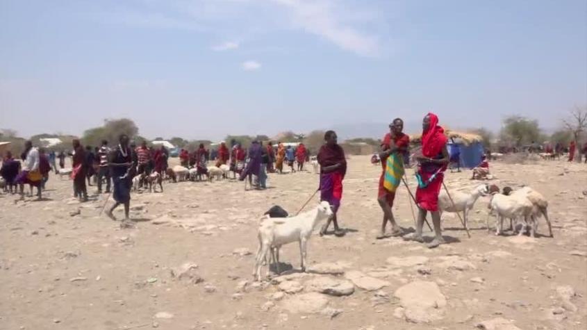 Maravillas del Mundo | T3 | Capítulo 7 | Zanzíbar, la joya de África