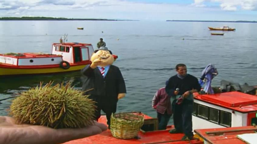 Cachureos | Capítulo 41