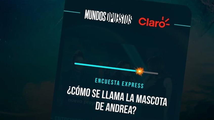Descarga la App Claro Mundos Opuestos y pon a prueba tus conocimientos del reality