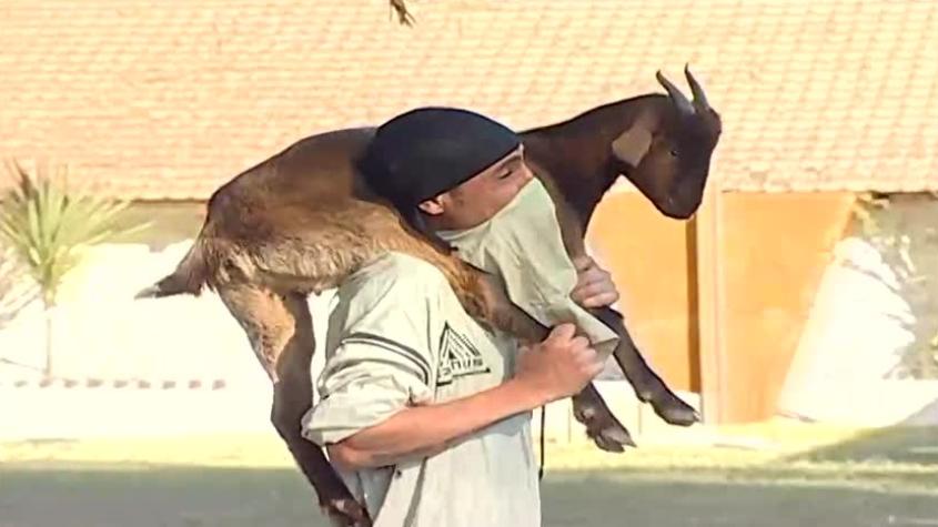 Año 0 | Capítulo 08