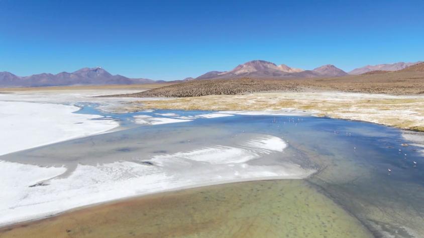 Ruta 5 | Temporada 1 | Capítulo 2 | Arica Parte 2: Centro, Salar de Surire y Termas de Polloquere